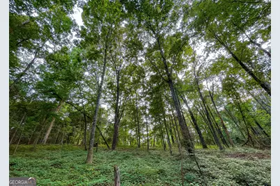 809 1/2 Probasco Street N #LOT 1 &amp; 2: 31.93 AC, La Fayette, GA 30728 - Photo 11