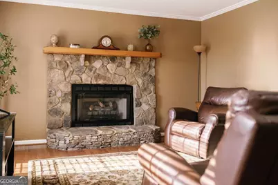 94 Old Place Drive, Blue Ridge, GA 30513 - Photo 17