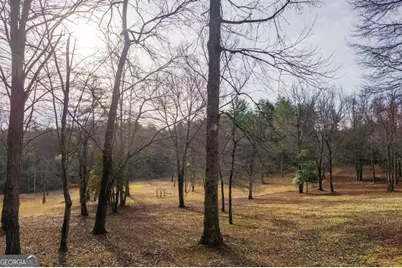 94 Old Place Drive, Blue Ridge, GA 30513 - Photo 65