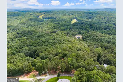 486 Laurel Circle, Dahlonega, GA 30533 - Photo 45