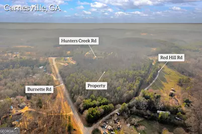 2122 Hunters Creek Road, Carnesville, GA 30521 - Photo 9