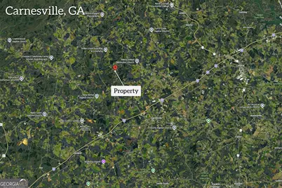 2122 Hunters Creek Road, Carnesville, GA 30521 - Photo 3