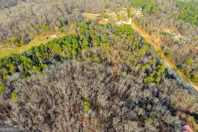 2122 Hunters Creek Road, Carnesville, GA 30521 - Photo 21