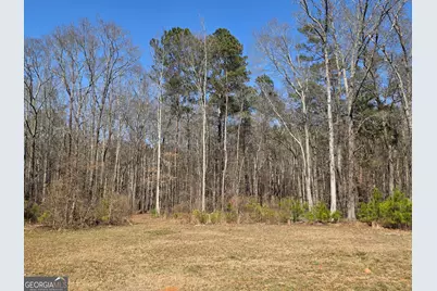 133 Harold Drive, McDonough, GA 30253 - Photo 21