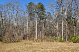 133 Harold Dr, McDonough, GA 30253 - Photo 21