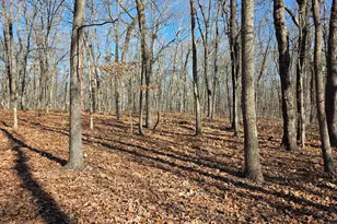 3879 Caney Head Rd, Franklin, GA 30217 - Photo 43