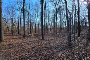 3879 Caney Head Rd, Franklin, GA 30217 - Photo 53