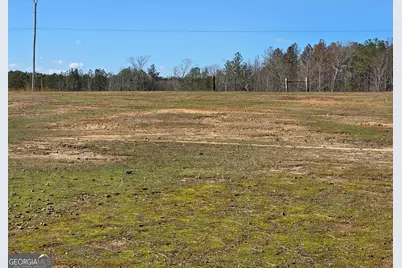 3879 Caney Head Road, Franklin, GA 30217 - Photo 61