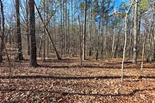 3879 Caney Head Rd, Franklin, GA 30217 - Photo 43
