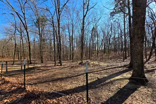 3879 Caney Head Rd, Franklin, GA 30217 - Photo 55