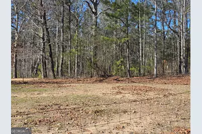 3879 Caney Head Road, Franklin, GA 30217 - Photo 63