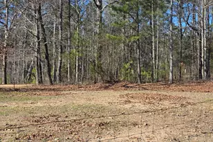 3879 Caney Head Rd, Franklin, GA 30217 - Photo 63