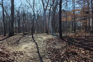 3879 Caney Head Rd, Franklin, GA 30217 - Photo 41