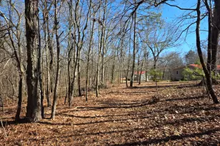 3879 Caney Head Rd, Franklin, GA 30217 - Photo 61