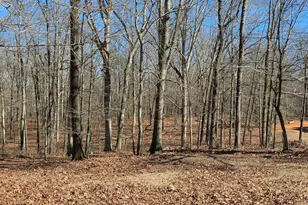 3879 Caney Head Rd, Franklin, GA 30217 - Photo 59