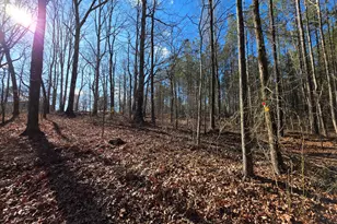 3879 Caney Head Rd, Franklin, GA 30217 - Photo 41