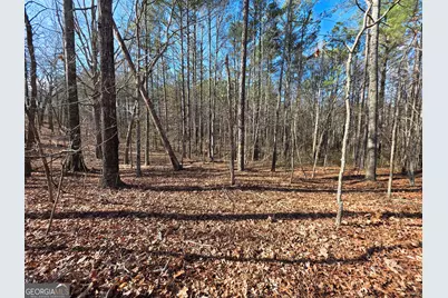 3879 Caney Head Road, Franklin, GA 30217 - Photo 37