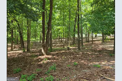 3879 Caney Head Road, Franklin, GA 30217 - Photo 39