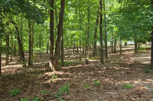 3879 Caney Head Rd, Franklin, GA 30217 - Photo 39