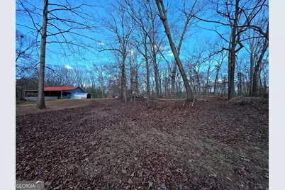 3879 Caney Head Road, Franklin, GA 30217 - Photo 45