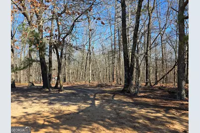 3879 Caney Head Road, Franklin, GA 30217 - Photo 57