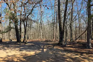 3879 Caney Head Rd, Franklin, GA 30217 - Photo 57