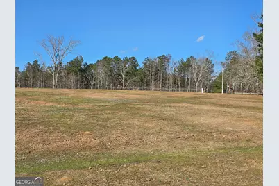 3879 Caney Head Road, Franklin, GA 30217 - Photo 59