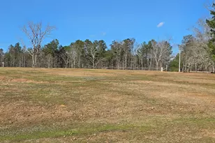 3879 Caney Head Rd, Franklin, GA 30217 - Photo 59