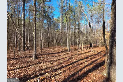 3879 Caney Head Road, Franklin, GA 30217 - Photo 39