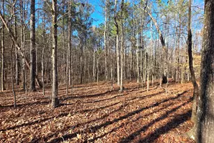 3879 Caney Head Rd, Franklin, GA 30217 - Photo 39