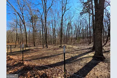 3879 Caney Head Road, Franklin, GA 30217 - Photo 49