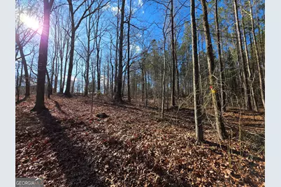 3879 Caney Head Road, Franklin, GA 30217 - Photo 35