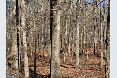 3879 Caney Head Road, Franklin, GA 30217 - Photo 51