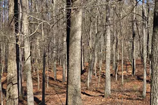 3879 Caney Head Rd, Franklin, GA 30217 - Photo 51