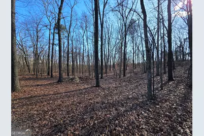 3879 Caney Head Road, Franklin, GA 30217 - Photo 47