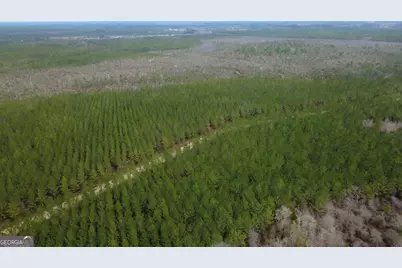 0 Whitaker, Waycross, GA 31503 - Photo 3