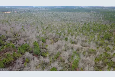 0 Whitaker, Waycross, GA 31503 - Photo 5