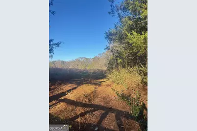 0 Thurman Baccus Rd, Social Circle, GA 30025 - Photo 7