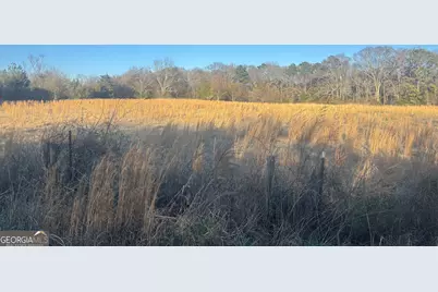 0 Thurman Baccus Rd, Social Circle, GA 30025 - Photo 3