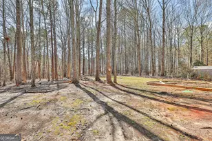 1209 N Hampton Dr, Hampton, GA 30228 - Photo 31