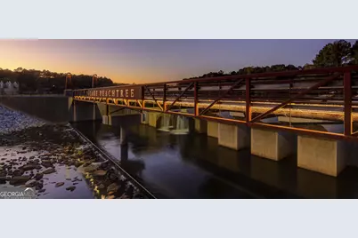 315 Corrigan Tr, Peachtree City, GA 30269 - Photo 83