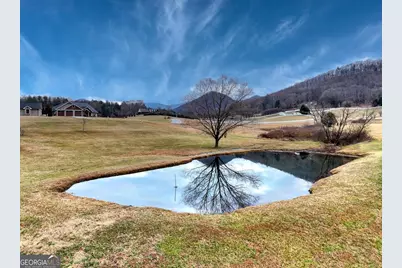 178 Barnwood Road, Blairsville, GA 30512 - Photo 11