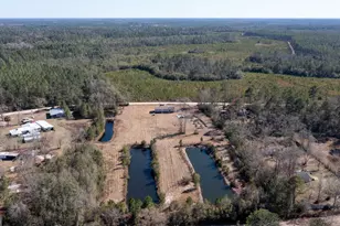 781 Stafford Rd, Waynesville, GA 31566 - Photo 7