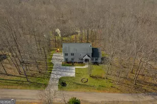 141 Shadow Walk Dr, Mount Airy, GA 30563 - Photo 53