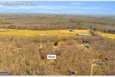 141 Shadow Walk Drive, Mount Airy, GA 30563 - Photo 55