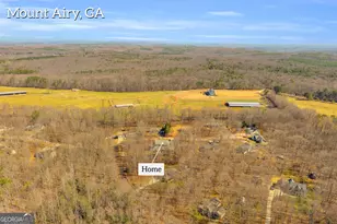 141 Shadow Walk Dr, Mount Airy, GA 30563 - Photo 55