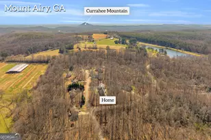 141 Shadow Walk Dr, Mount Airy, GA 30563 - Photo 59