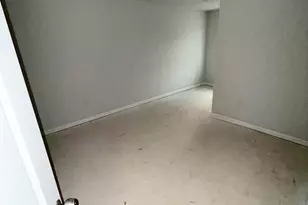 11604 E Lovejoy Rd, Hampton, GA 30228 - Photo 17