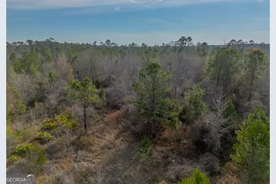 0 Banner Road, Waycross, GA 31503 - Photo 19