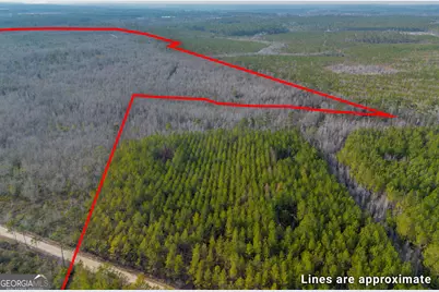 0 Banner Road, Waycross, GA 31503 - Photo 9
